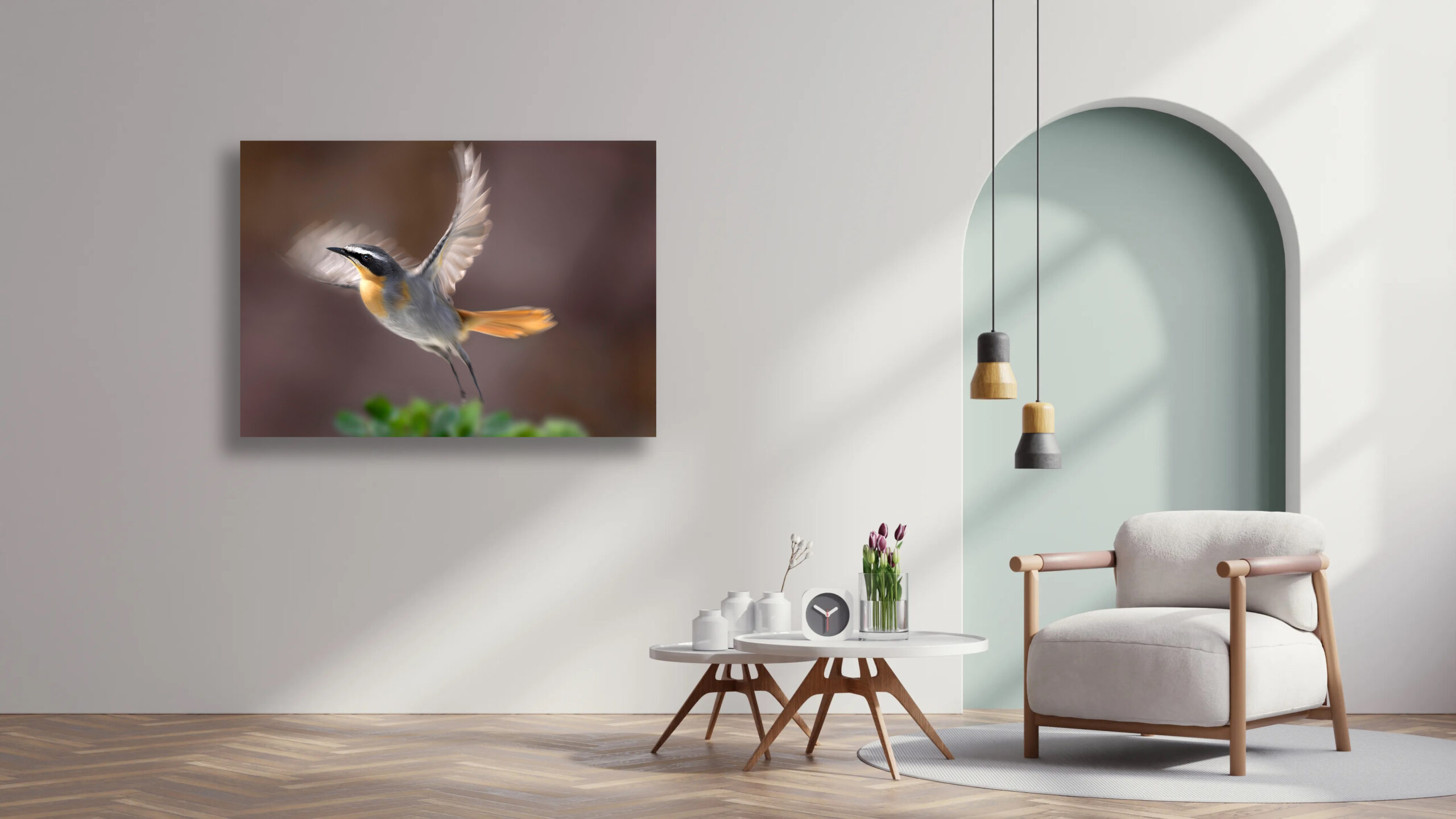 Cape Robin in flight