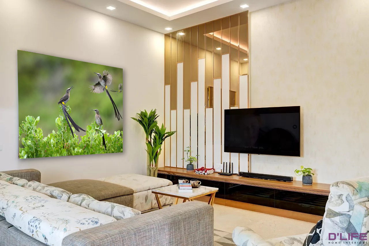 Sugar birds in flight