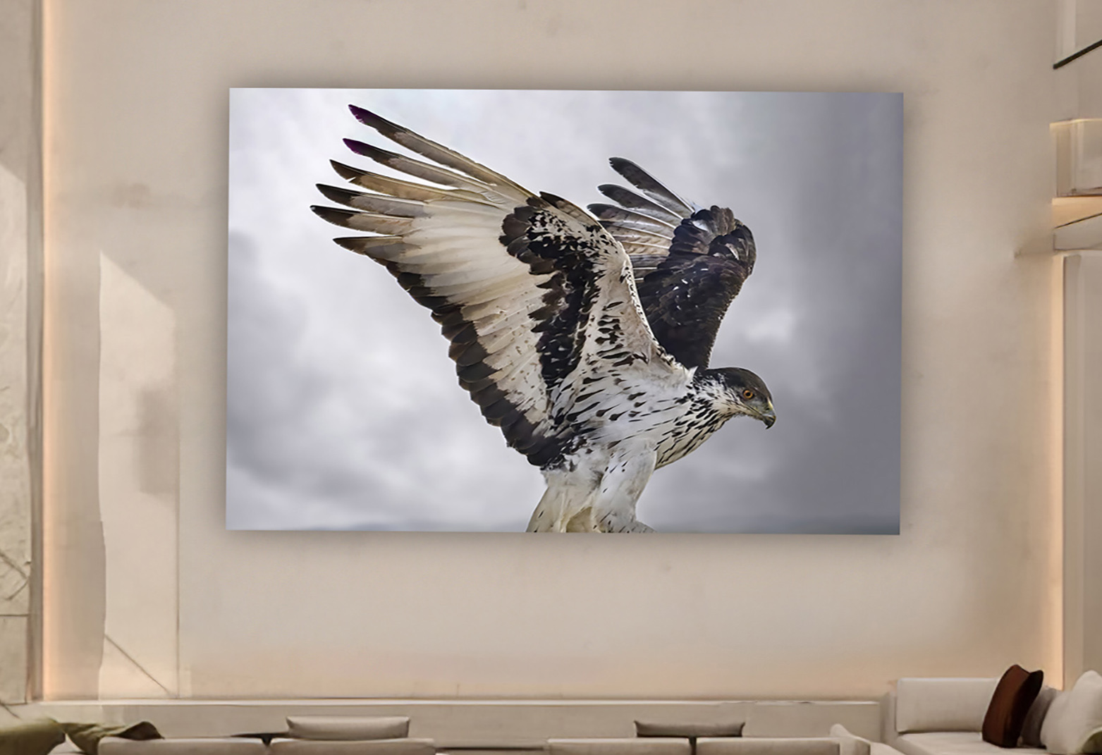 African Hawk Eagle wall art