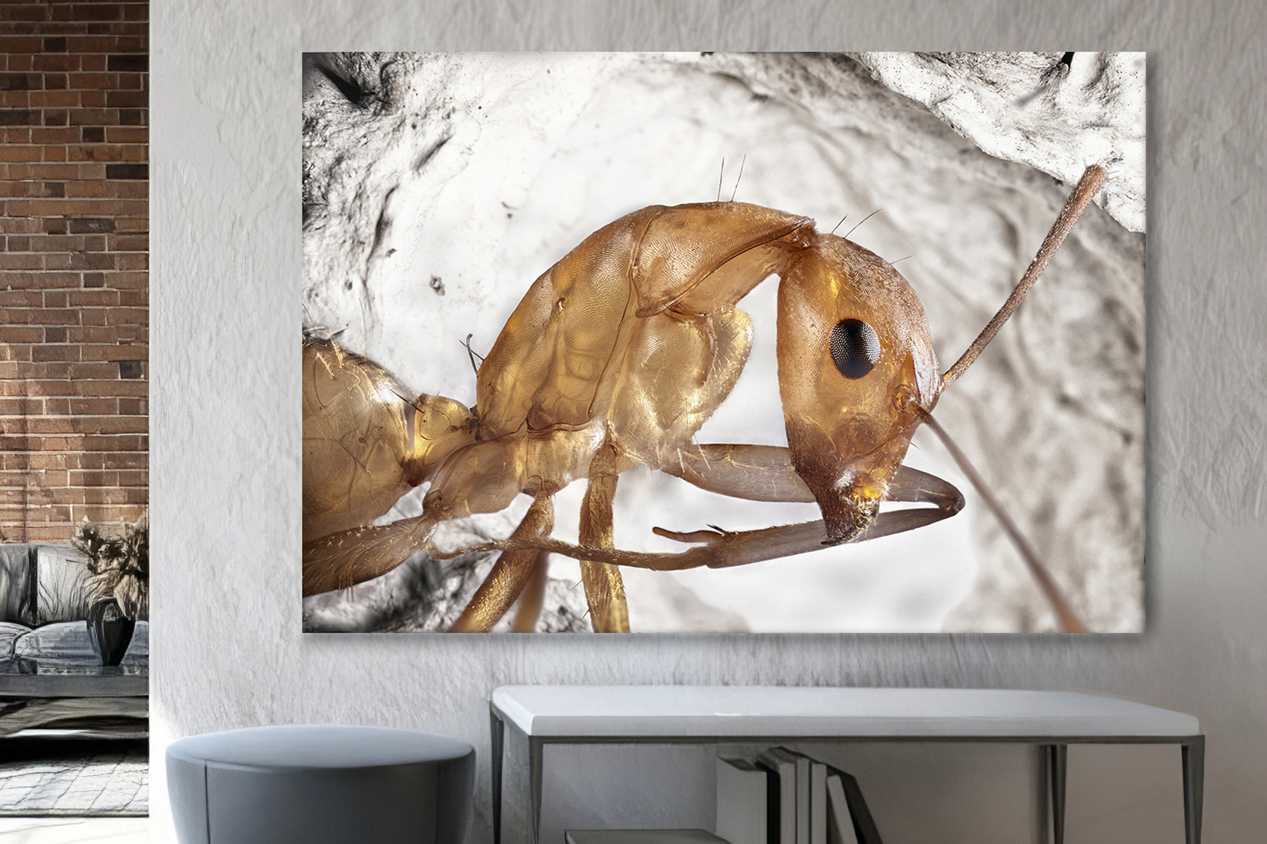 Ant wall art