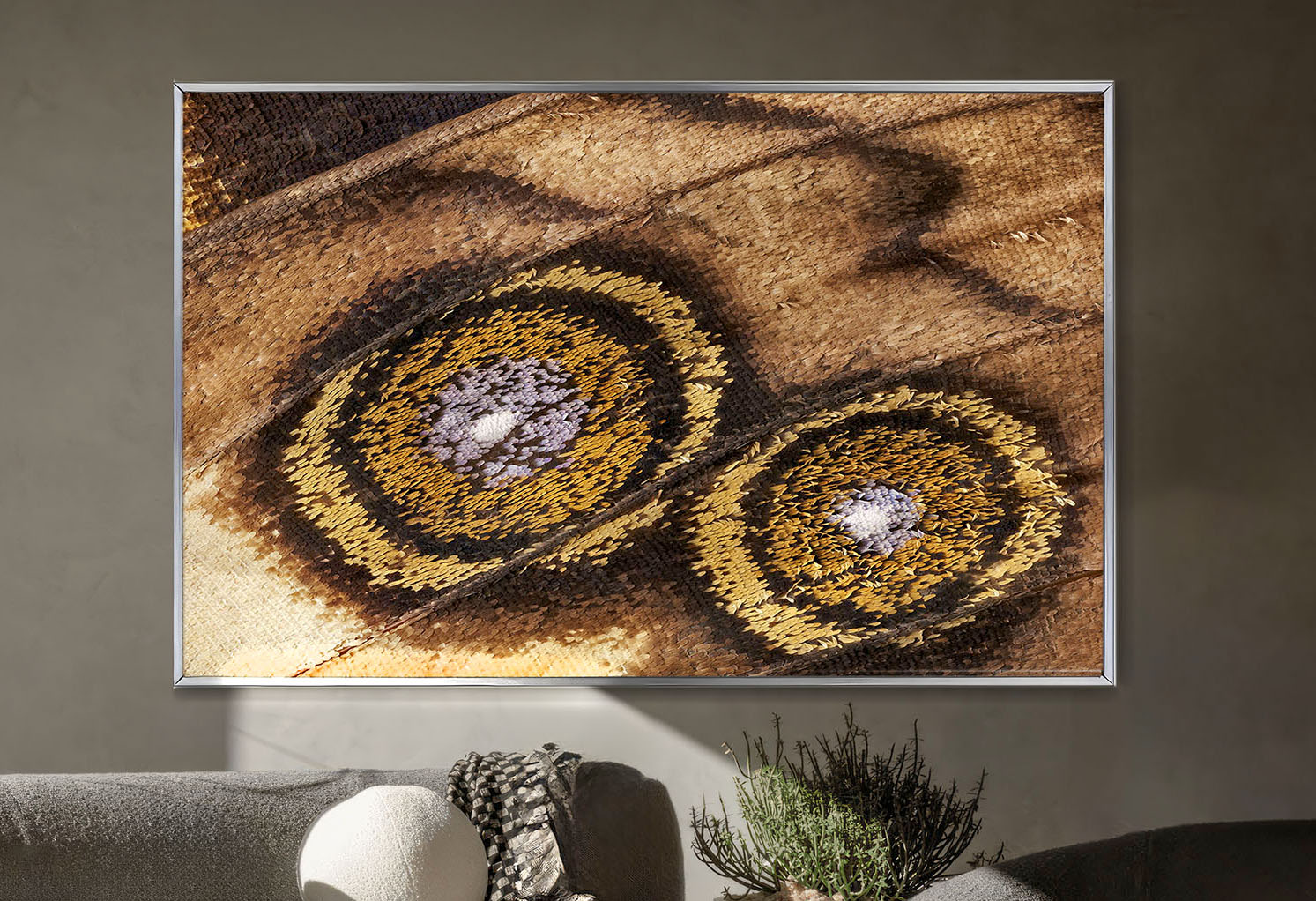 Butterfly wing wall art