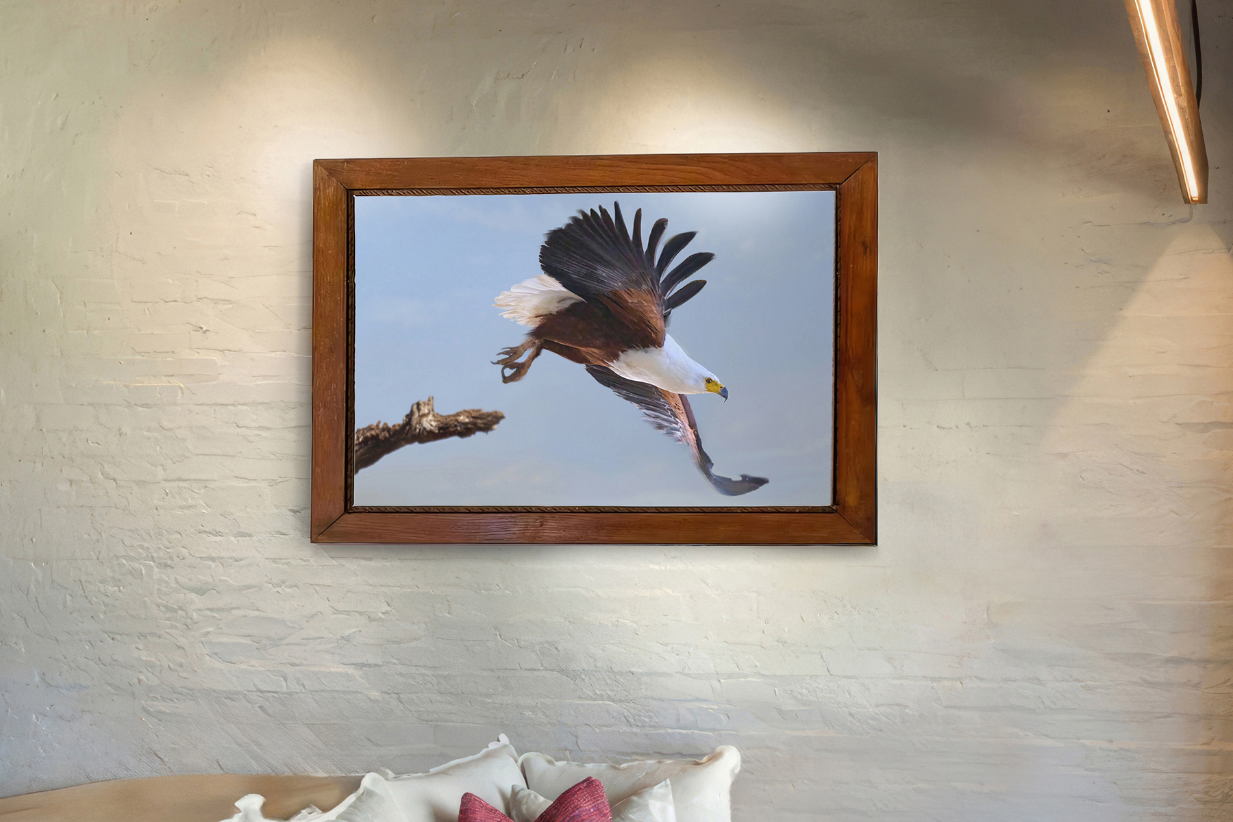African Fish eagle wall art