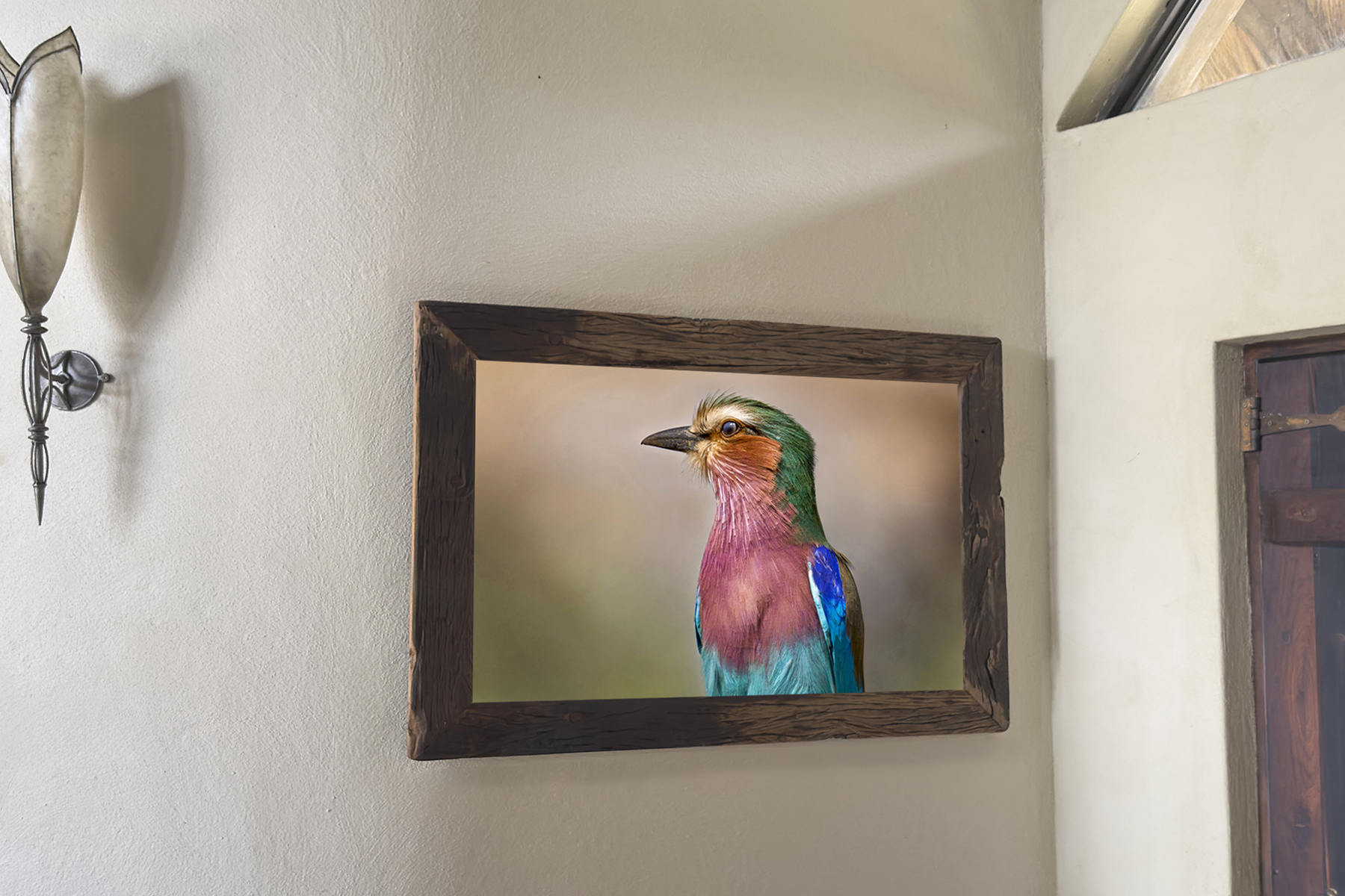 Lilac-breasted Roller wall art
