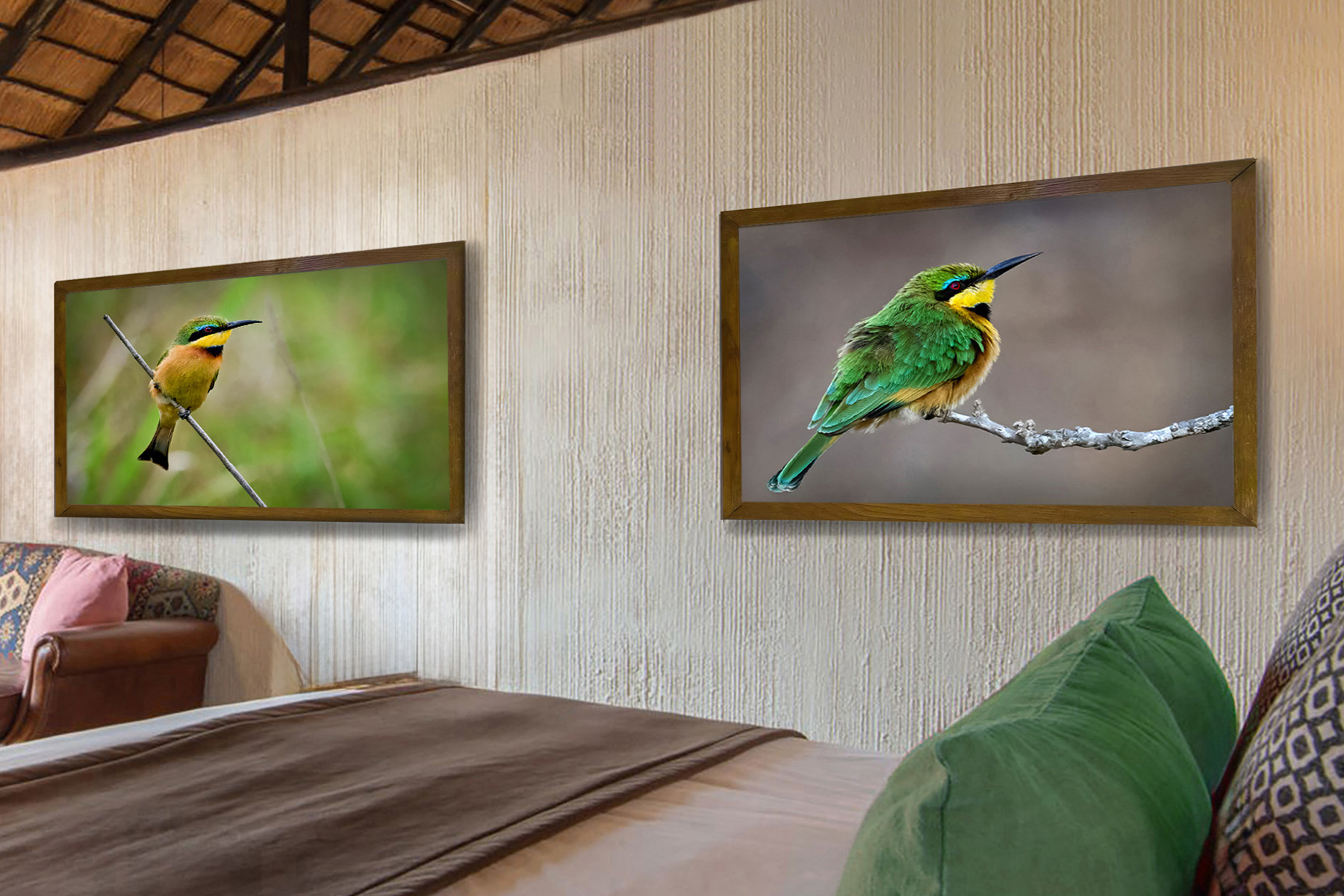 Little Bee-eater wall art
