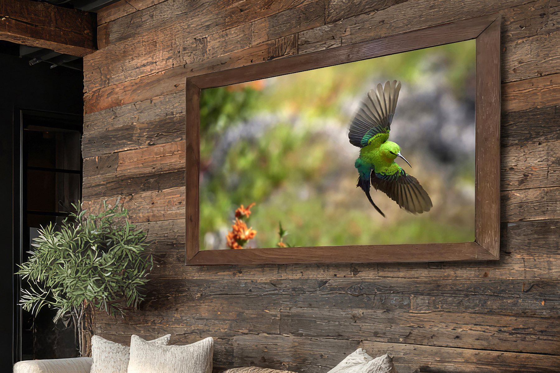 Malachite Sunbird wall art