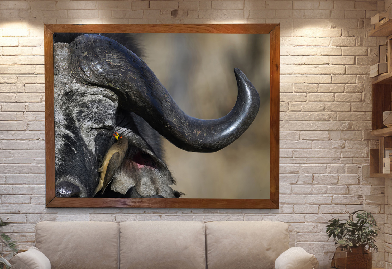 Red Oxpecker wall art