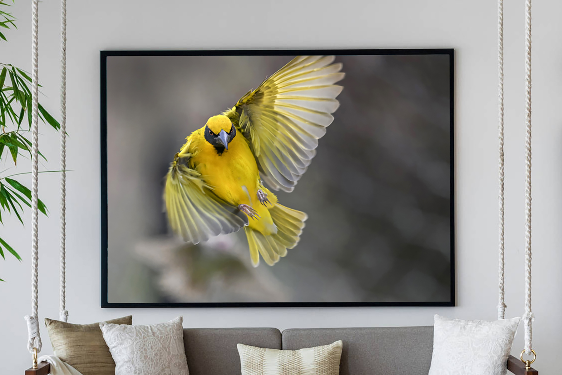 Village Weaver wall art