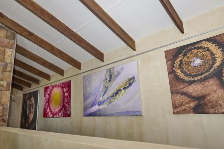 All lounge prints in situ
