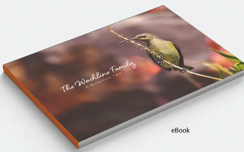 BOOK-COVER-1